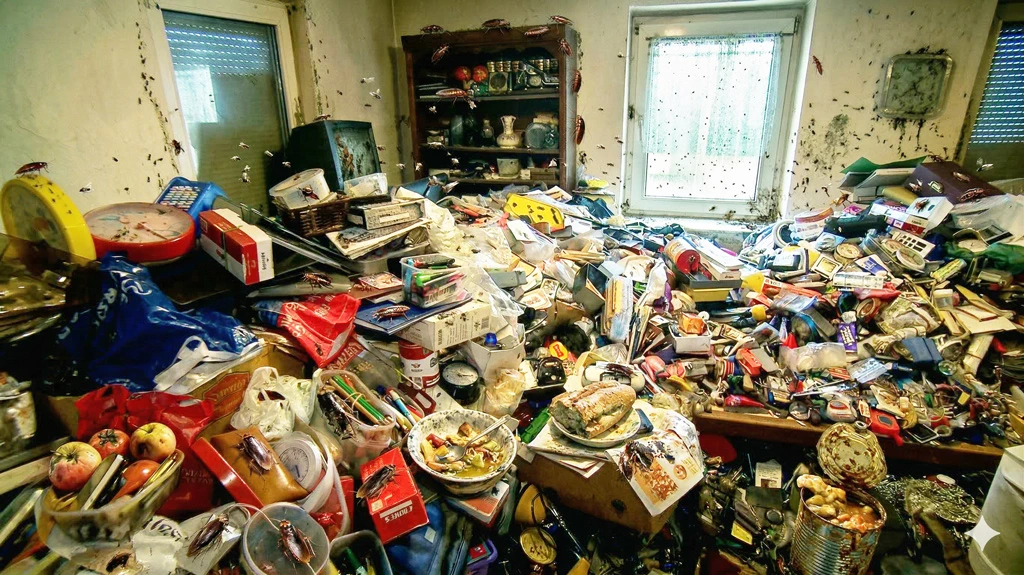 vermülltes-zimmer_KI_1024x575 | Profi-Produkte für die Schädlingsbekämpfung Grisamethrin Pyrethrum Anwendungsbeispiel